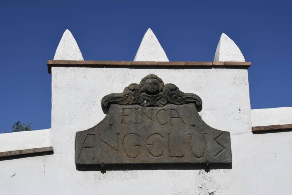 Finca Angelus Apartment Syrah With Amazing Views La Matanza de Acentejo Kültér fotó